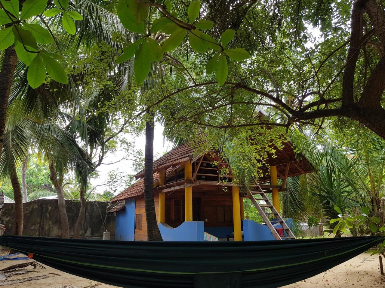 Albero Cabanas Arugam Bay Exterior photo