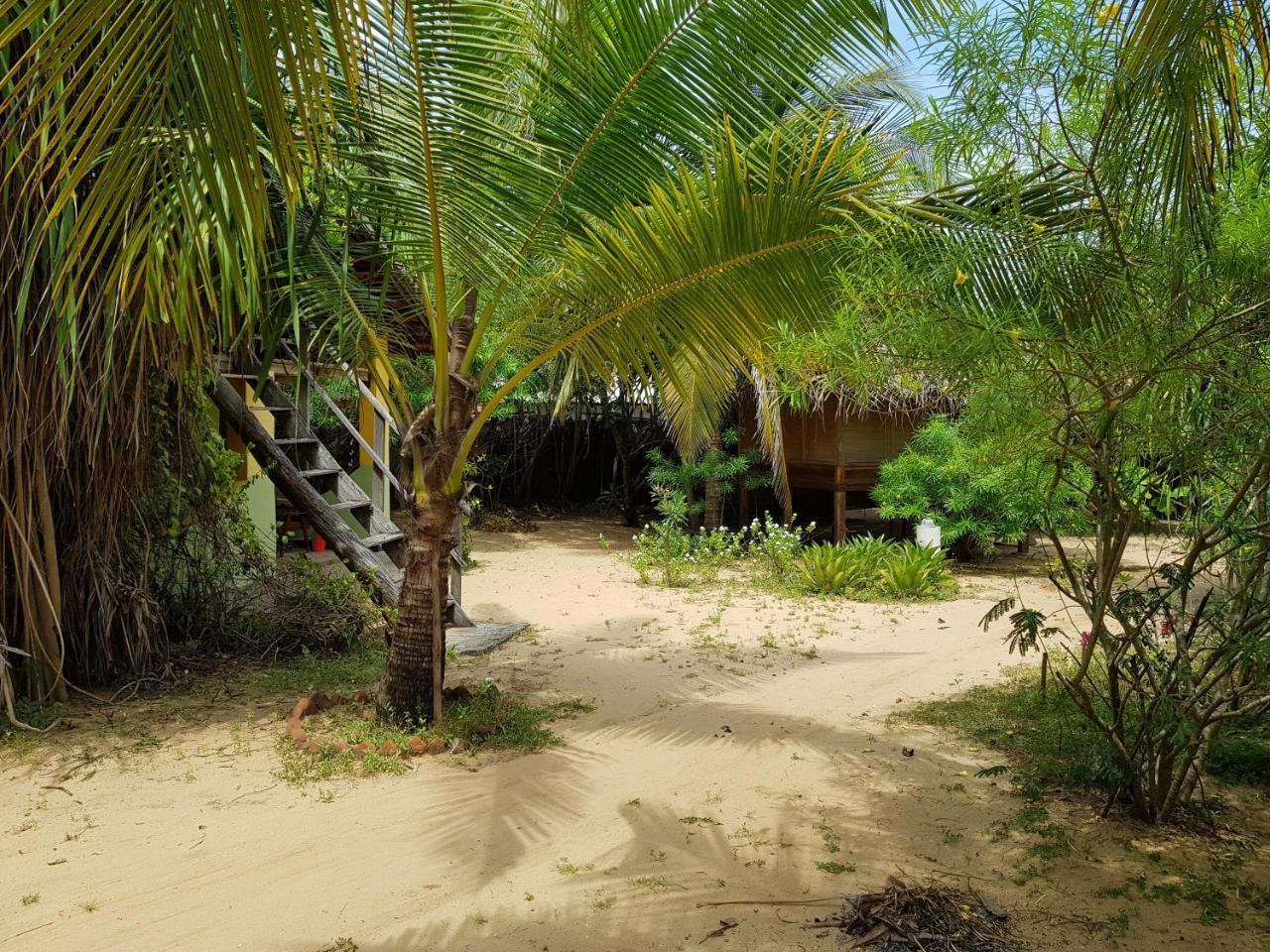 Albero Cabanas Arugam Bay Exterior photo