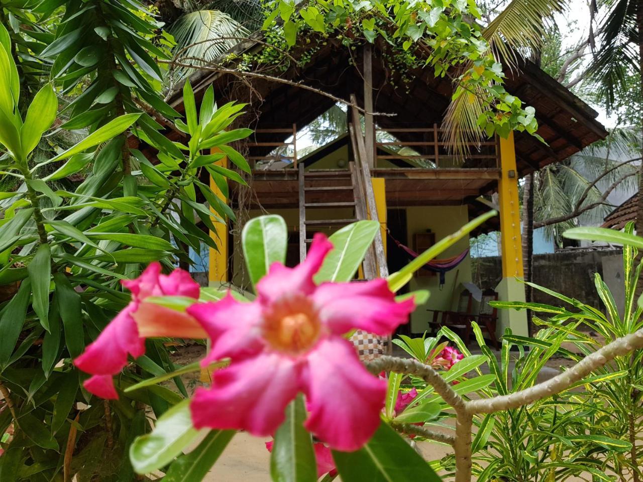 Albero Cabanas Arugam Bay Exterior photo