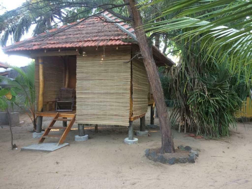 Albero Cabanas Arugam Bay Room photo